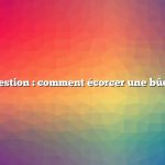 Question : comment écorcer une bûche